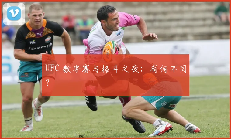 UFC 数字赛与格斗之夜:有何不同?