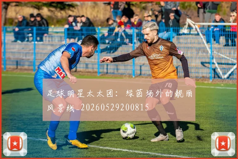 足球明星太太团：绿茵场外的靓丽风景线_20260529200815